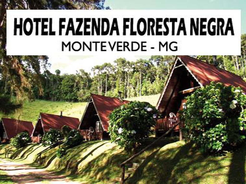 Hotel Fazenda Floresta Negra Монти-Верди Экстерьер фото