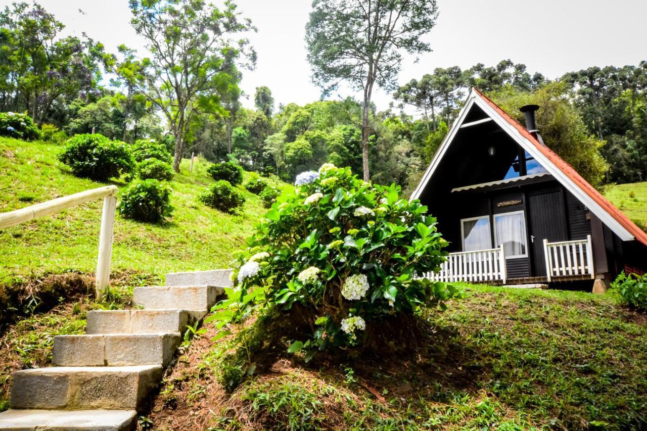Hotel Fazenda Floresta Negra Монти-Верди Экстерьер фото
