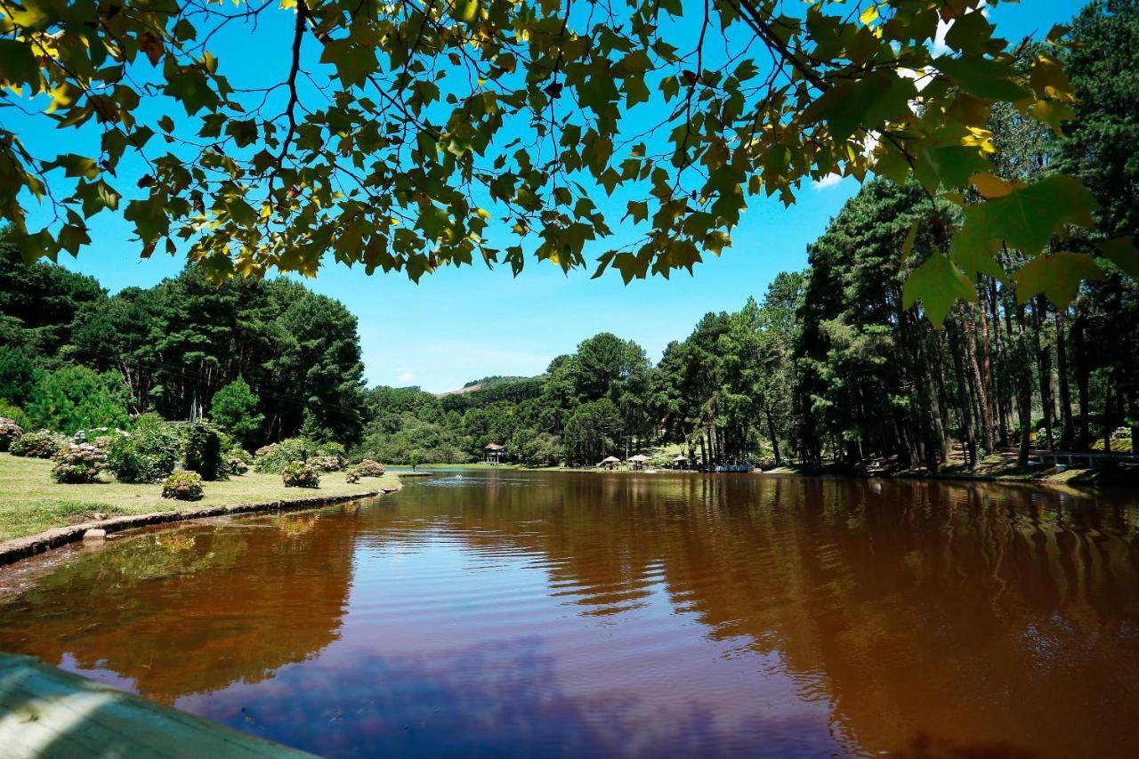 Hotel Fazenda Floresta Negra Монти-Верди Экстерьер фото