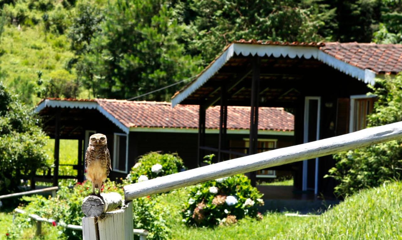 Hotel Fazenda Floresta Negra Монти-Верди Экстерьер фото