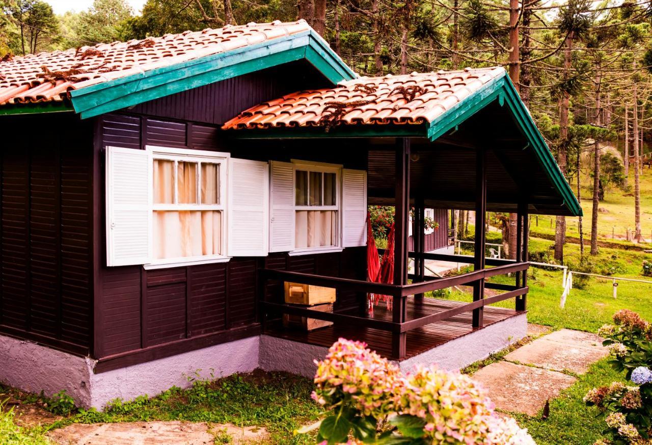 Hotel Fazenda Floresta Negra Монти-Верди Экстерьер фото